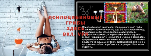 каннабис Алзамай
