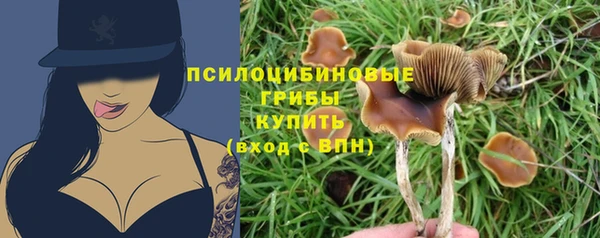каннабис Алзамай